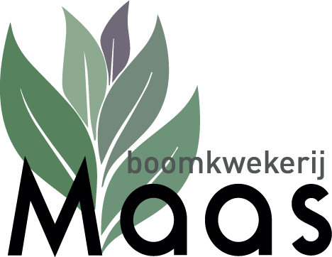 Boomkwekerij Maas | Budel